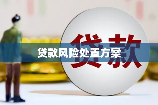 磁县贷款风险处置方案