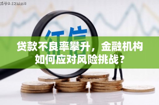 磁县贷款不良率攀升，金融机构如何应对风险挑战？