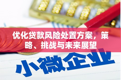 磁县优化贷款风险处置方案，策略、挑战与未来展望