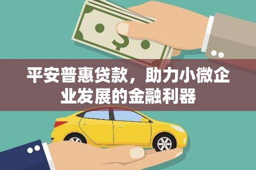 磁县平安普惠贷款，助力小微企业发展的金融利器