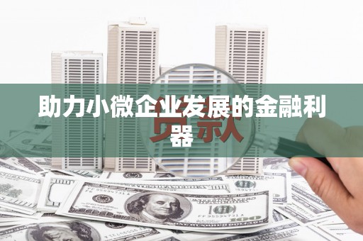 磁县助力小微企业发展的金融利器