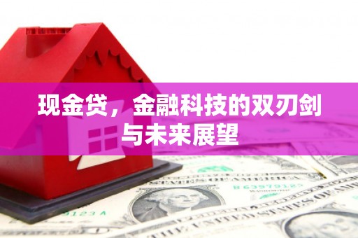 磁县现金贷，金融科技的双刃剑与未来展望