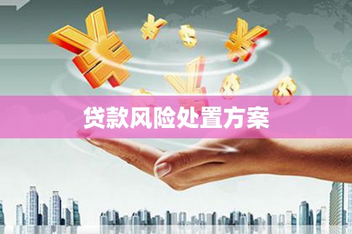 磁县贷款风险处置方案