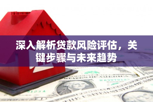 磁县深入解析贷款风险评估，关键步骤与未来趋势