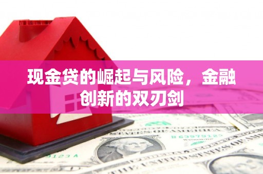 磁县现金贷的崛起与风险，金融创新的双刃剑
