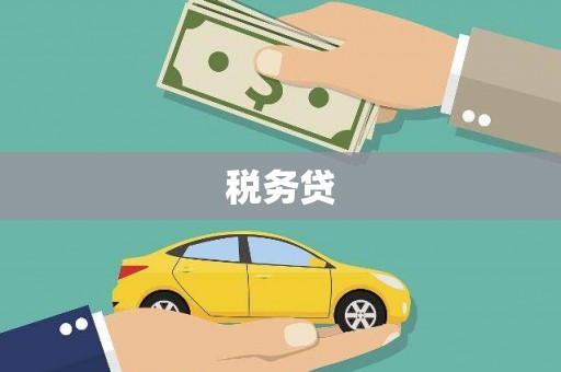 磁县税务贷