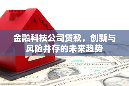 磁县金融科技公司贷款，创新与风险并存的未来趋势