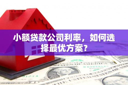 磁县小额贷款公司利率，如何选择最优方案？