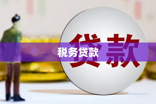 磁县税务贷款