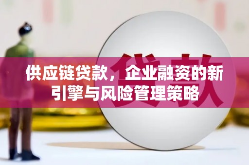 磁县供应链贷款，企业融资的新引擎与风险管理策略
