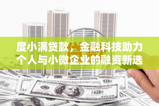 磁县度小满贷款，金融科技助力个人与小微企业的融资新选择