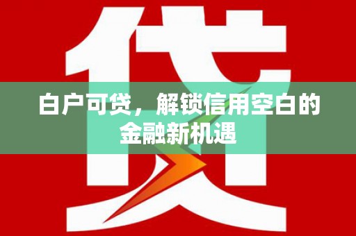 磁县白户可贷，解锁信用空白的金融新机遇