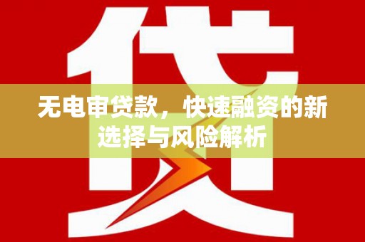 磁县无电审贷款，快速融资的新选择与风险解析