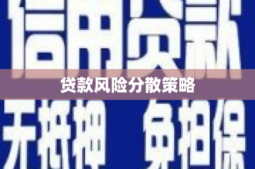 磁县贷款风险分散策略