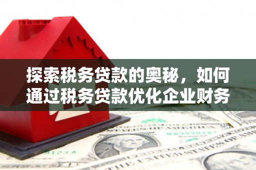磁县探索税务贷款的奥秘，如何通过税务贷款优化企业财务