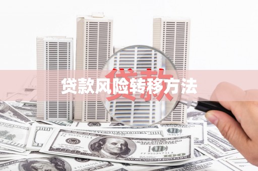 磁县贷款风险转移方法