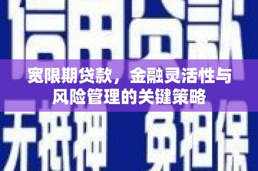 磁县宽限期贷款，金融灵活性与风险管理的关键策略