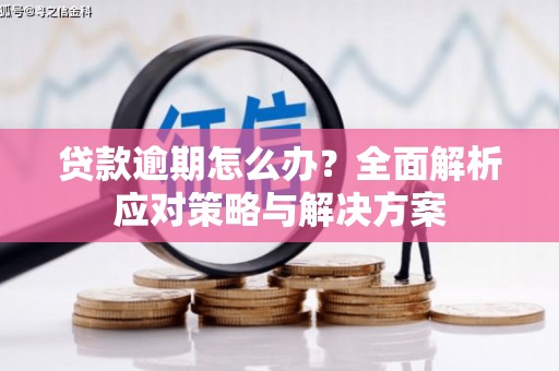 磁县贷款逾期怎么办？全面解析应对策略与解决方案