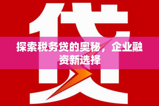 磁县探索税务贷的奥秘，企业融资新选择