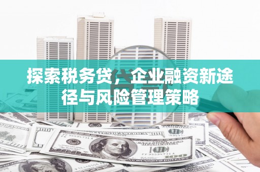 磁县探索税务贷，企业融资新途径与风险管理策略