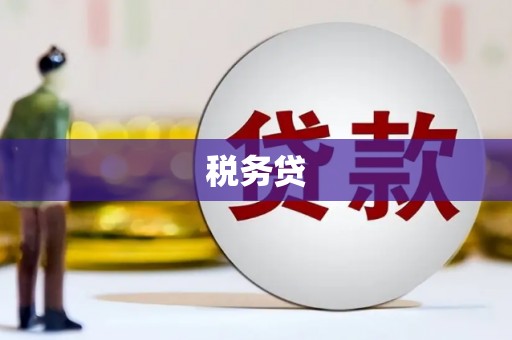 磁县税务贷