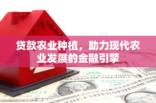 磁县贷款农业种植，助力现代农业发展的金融引擎