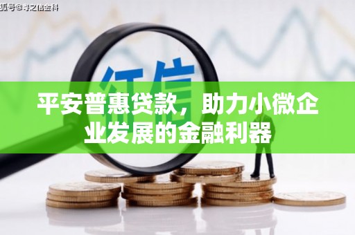 磁县平安普惠贷款，助力小微企业发展的金融利器