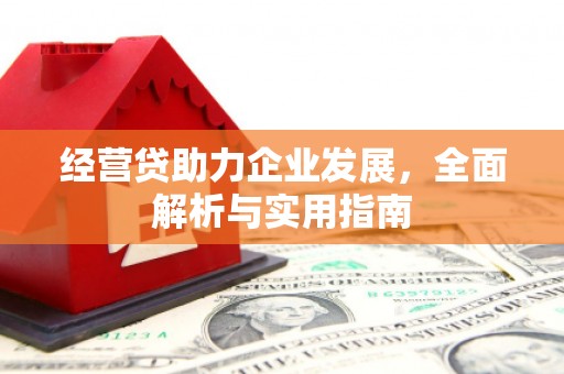 磁县经营贷助力企业发展，全面解析与实用指南