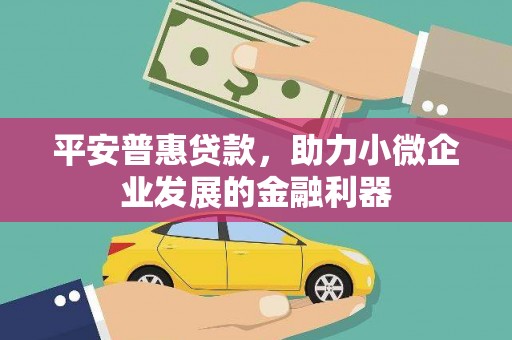 磁县平安普惠贷款，助力小微企业发展的金融利器