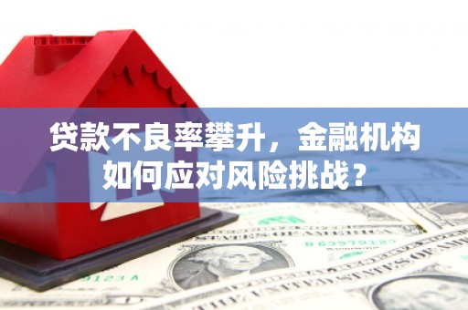 磁县贷款不良率攀升，金融机构如何应对风险挑战？