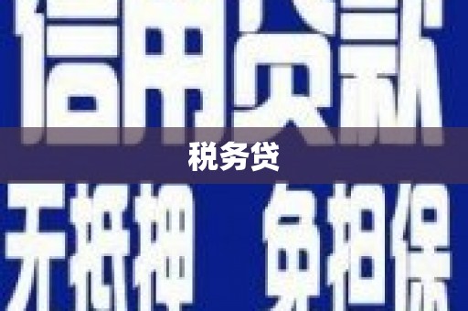 磁县税务贷