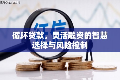 磁县循环贷款，灵活融资的智慧选择与风险控制