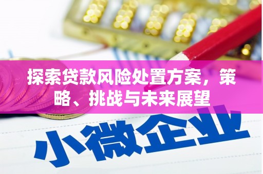 磁县探索贷款风险处置方案，策略、挑战与未来展望