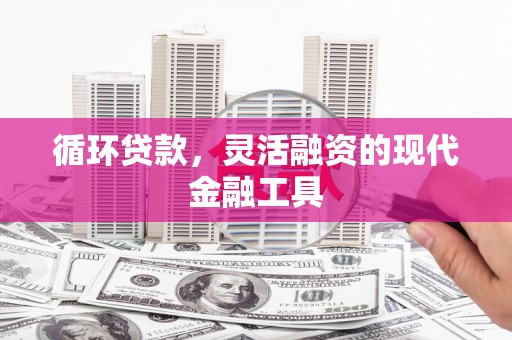 磁县循环贷款，灵活融资的现代金融工具