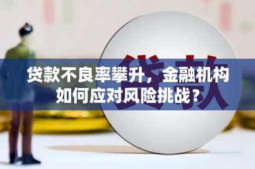 磁县贷款不良率攀升，金融机构如何应对风险挑战？