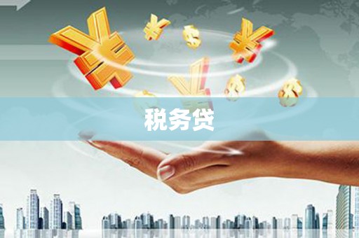 磁县税务贷