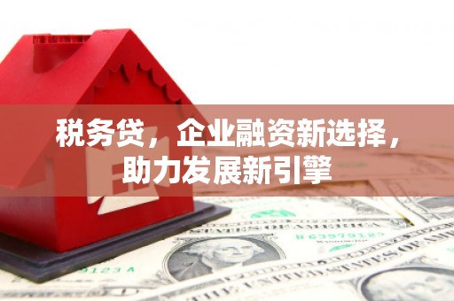 磁县税务贷，企业融资新选择，助力发展新引擎