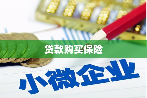 磁县贷款购买保险