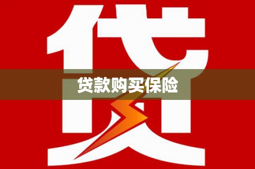 磁县贷款购买保险