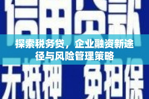 磁县探索税务贷，企业融资新途径与风险管理策略