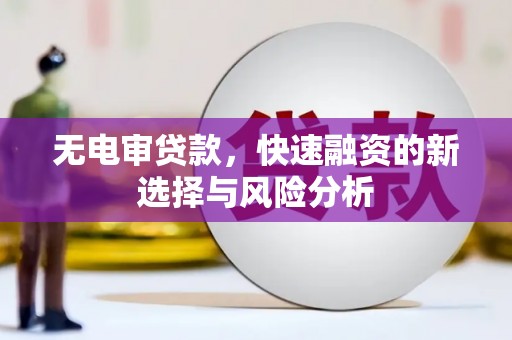 磁县无电审贷款，快速融资的新选择与风险分析
