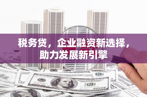 磁县税务贷，企业融资新选择，助力发展新引擎