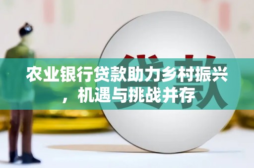 磁县农业银行贷款助力乡村振兴，机遇与挑战并存