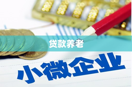 磁县贷款养老