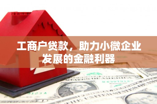 磁县工商户贷款，助力小微企业发展的金融利器