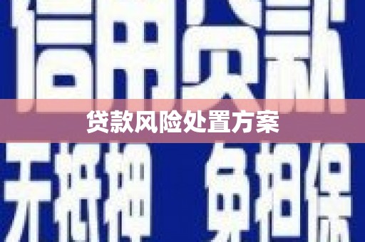 磁县贷款风险处置方案