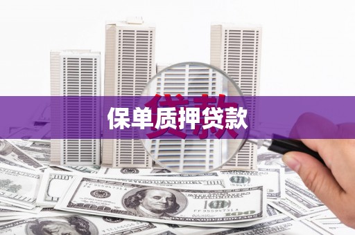 磁县保单质押贷款