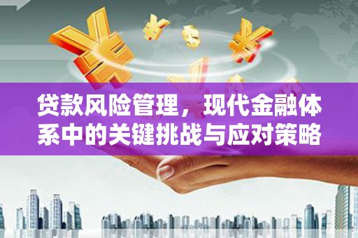 磁县贷款风险管理，现代金融体系中的关键挑战与应对策略
