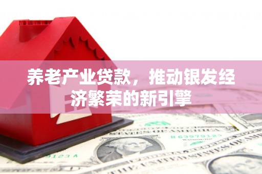 磁县养老产业贷款，推动银发经济繁荣的新引擎