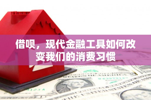 磁县借呗，现代金融工具如何改变我们的消费习惯